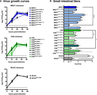 Environmentally-triggered contraction of the norovirus virion determines diarrheagenic potential